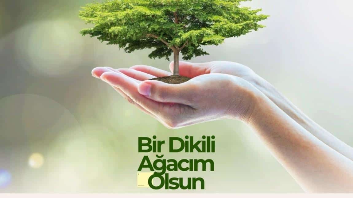 Okulumuzu Yeşillendiriyoruz